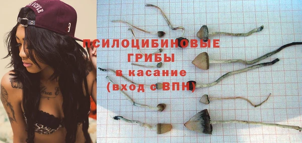 прущий лед Михайлов