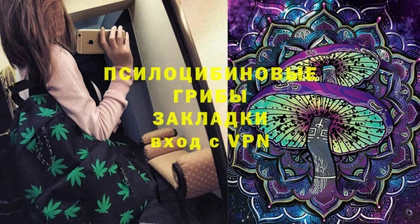 прущий лед Михайлов