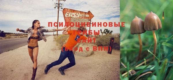 прущие крисы Медногорск