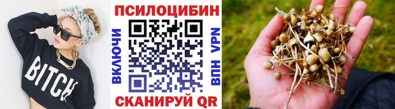 Галлюциногенные грибы MAGIC MUSHROOMS  Купить закладки  Ачинск 